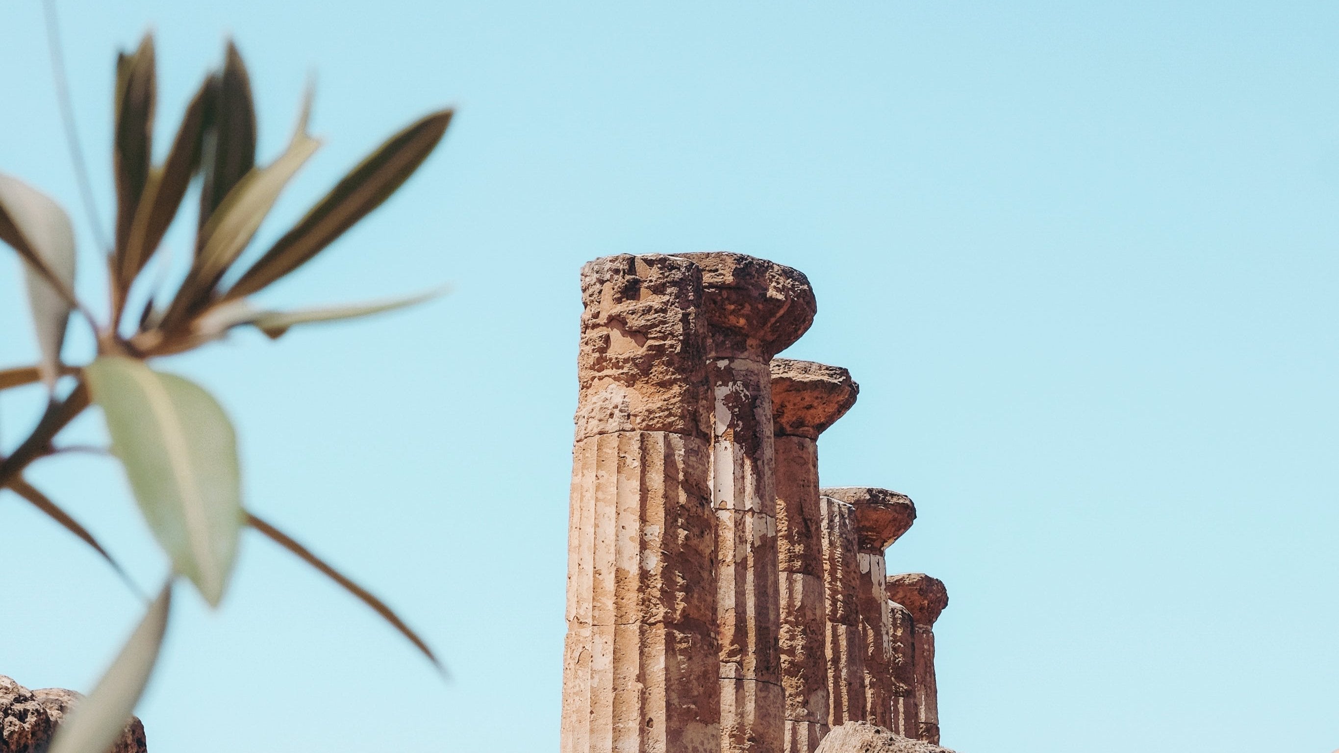 What Is Castile Soap? Everything You Need to Know About This All‑Natural Soap