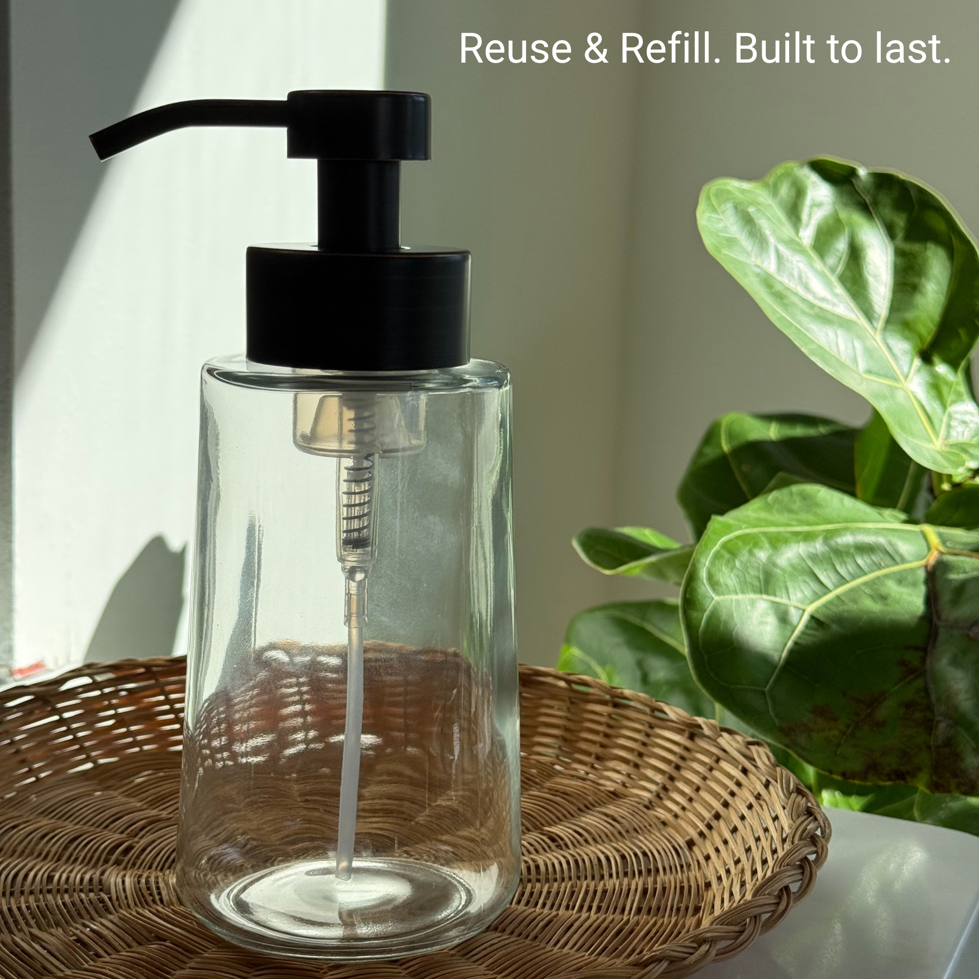 A single green leaf against a white background.